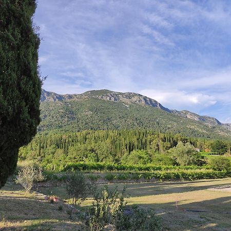 Country House Uros In Nature With Pool Lovorno エクステリア 写真