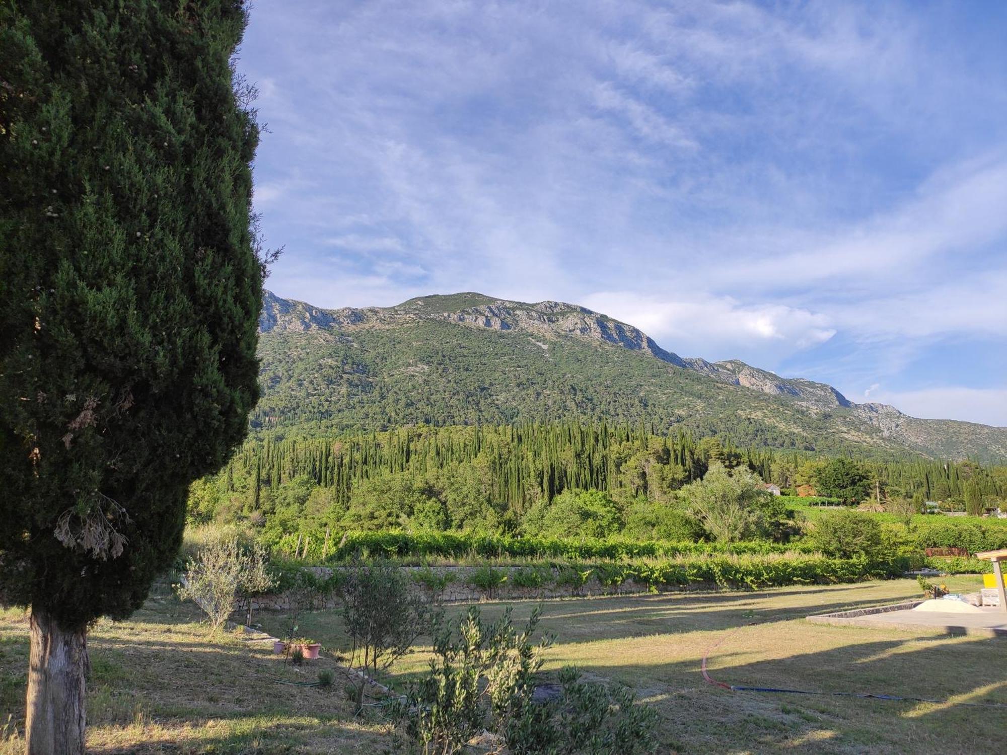Country House Uros In Nature With Pool Lovorno エクステリア 写真