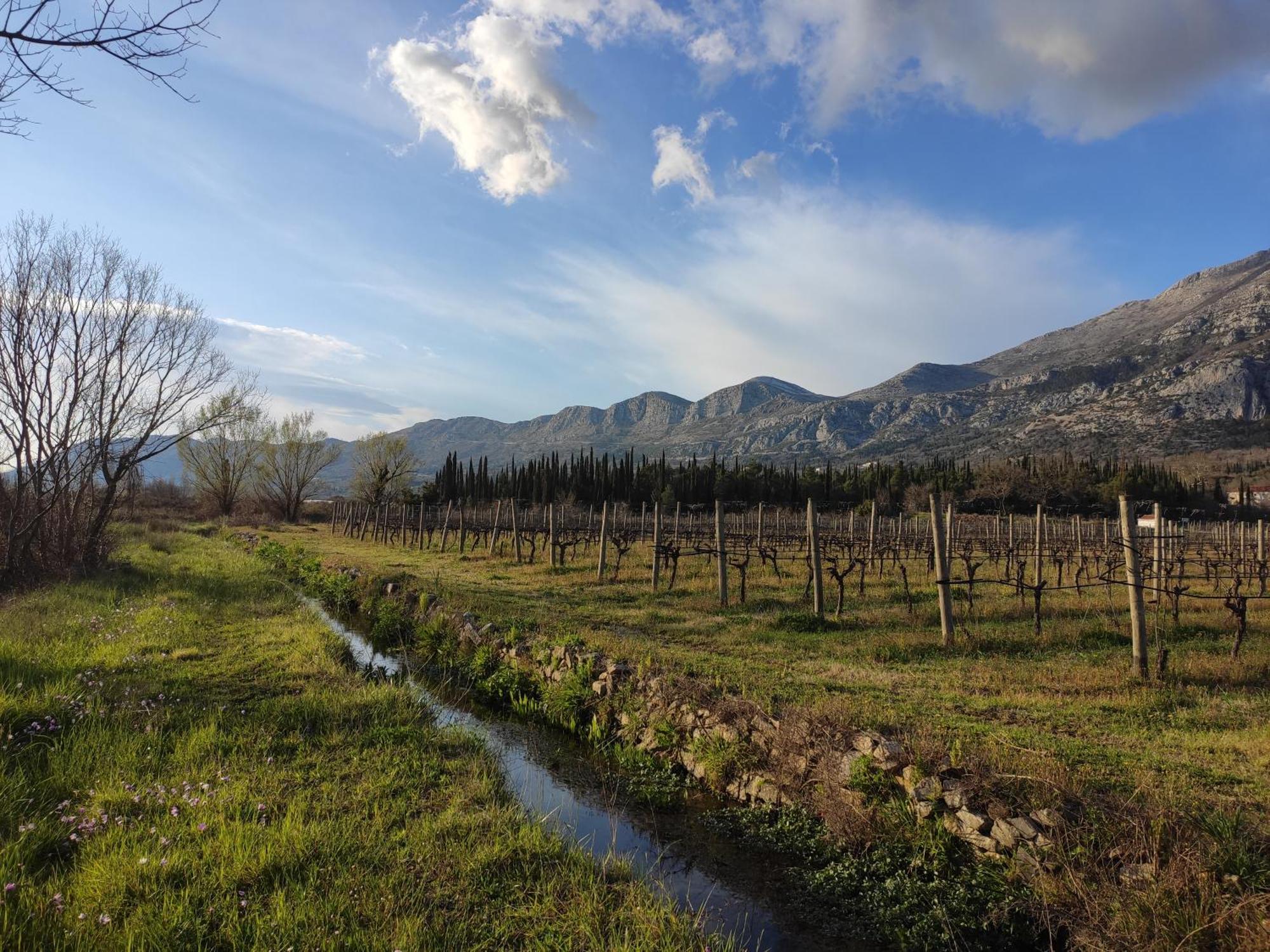 Country House Uros In Nature With Pool Lovorno エクステリア 写真