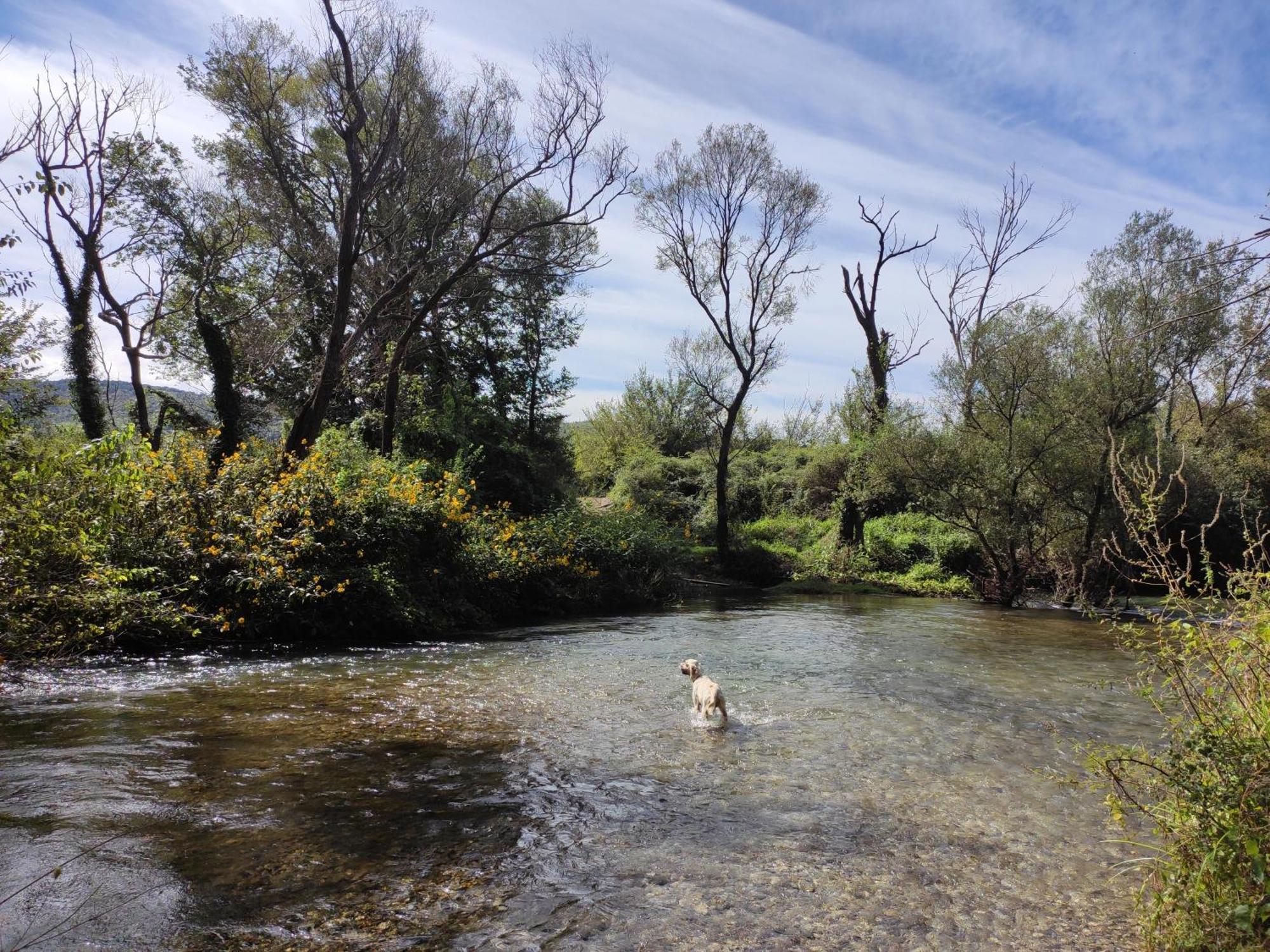 Country House Uros In Nature With Pool Lovorno エクステリア 写真
