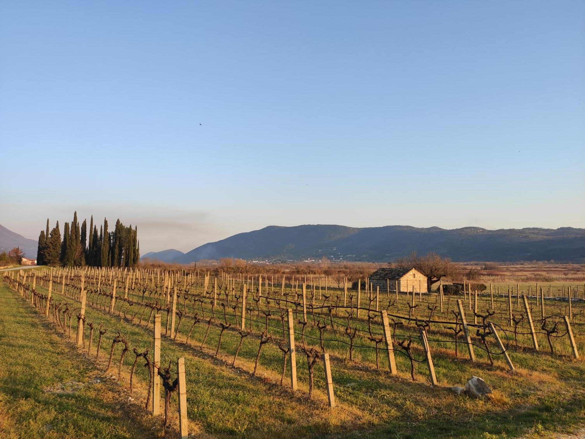 Country House Uros In Nature With Pool Lovorno エクステリア 写真